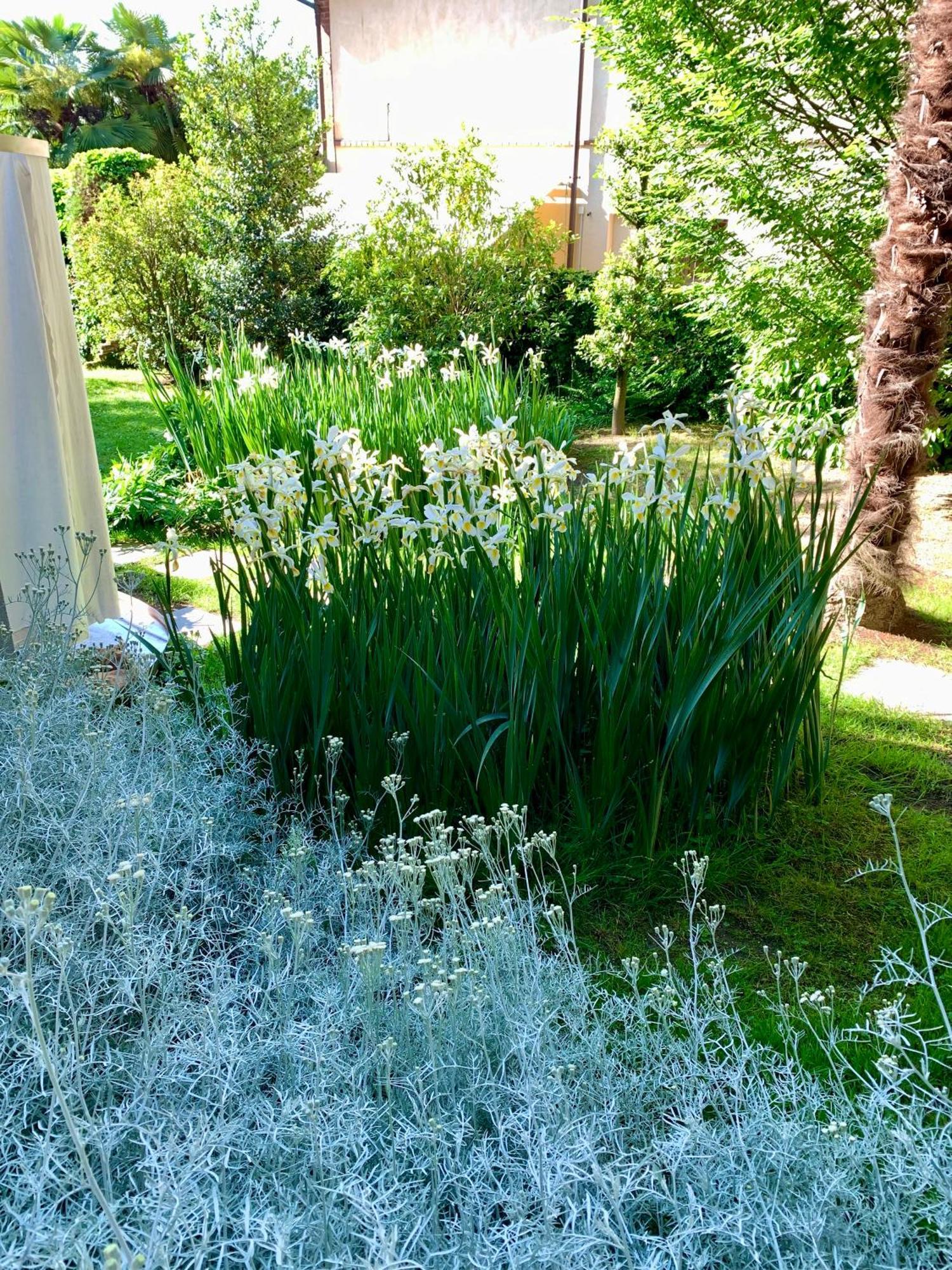 Hotel Relax Borgosesia Exterior foto
